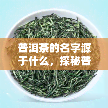 普洱茶的名字源于什么，探秘普洱茶的起源：名字背后的含义和故事