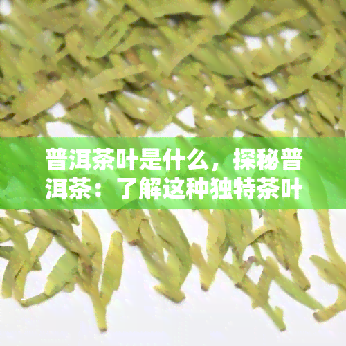 普洱茶叶是什么，探秘普洱茶：了解这种独特茶叶的起源和制作过程