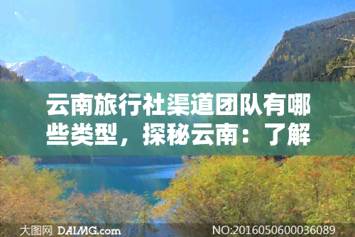 云南旅行社渠道团队有哪些类型，探秘云南：了解旅行社渠道团队的各类别