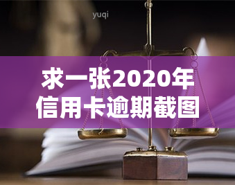 求一张2020年信用卡逾期截图，展示欠款情况