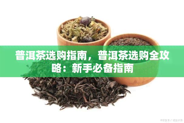 普洱茶选购指南，普洱茶选购全攻略：新手必备指南