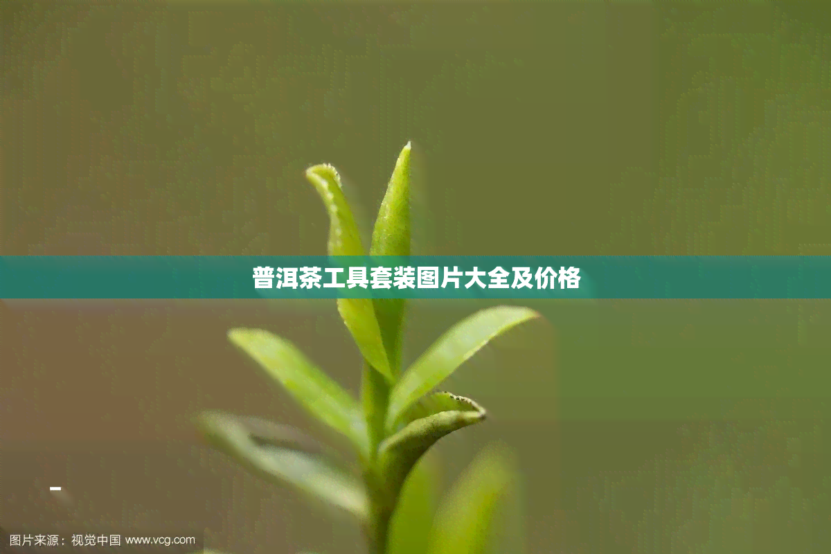 普洱茶工具套装图片大全及价格