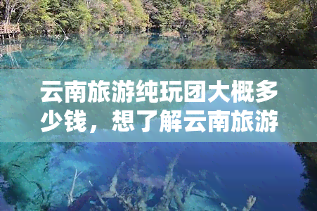 云南旅游纯玩团大概多少钱，想了解云南旅游纯玩团的价格吗？答案在这里！