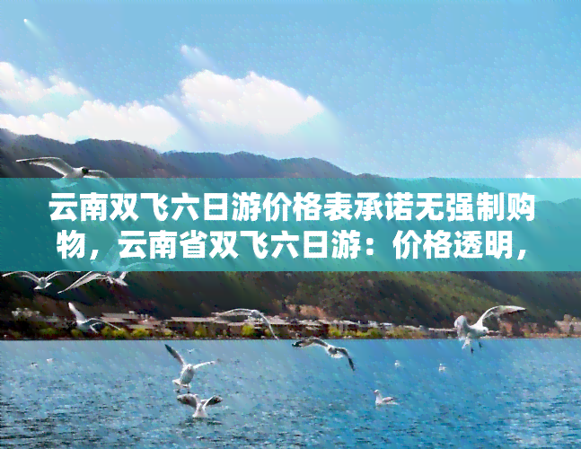 云南双飞六日游价格表承诺无强制购物，云南省双飞六日游：价格透明，全程无强制购物！