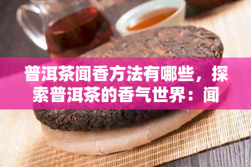 普洱茶闻香方法有哪些，探索普洱茶的香气世界：闻香方法全解析