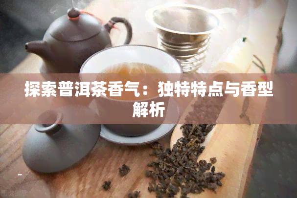 探索普洱茶香气：独特特点与香型解析