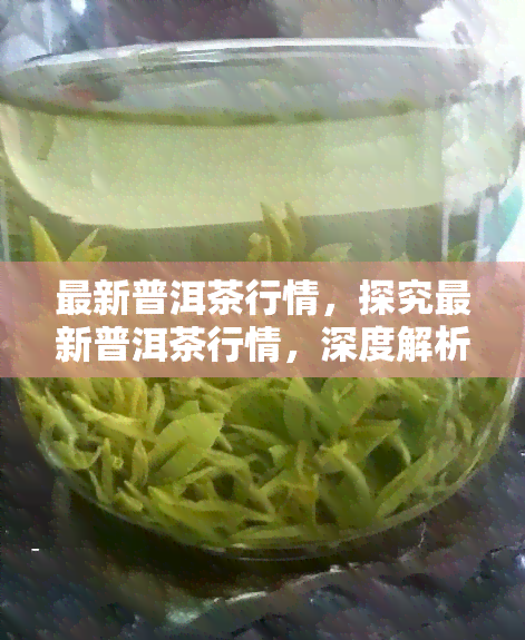 最新普洱茶行情，探究最新普洱茶行情，深度解析市场动态与价值变化