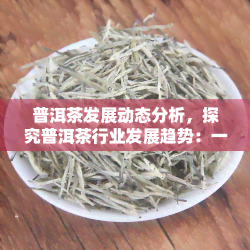 普洱茶发展动态分析，探究普洱茶行业发展趋势：一份深度分析报告