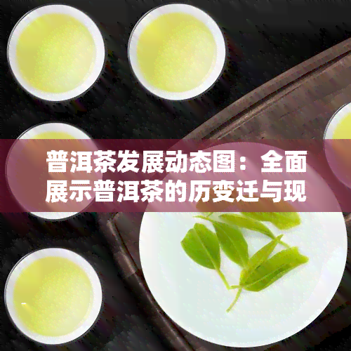 普洱茶发展动态图：全面展示普洱茶的历变迁与现代趋势