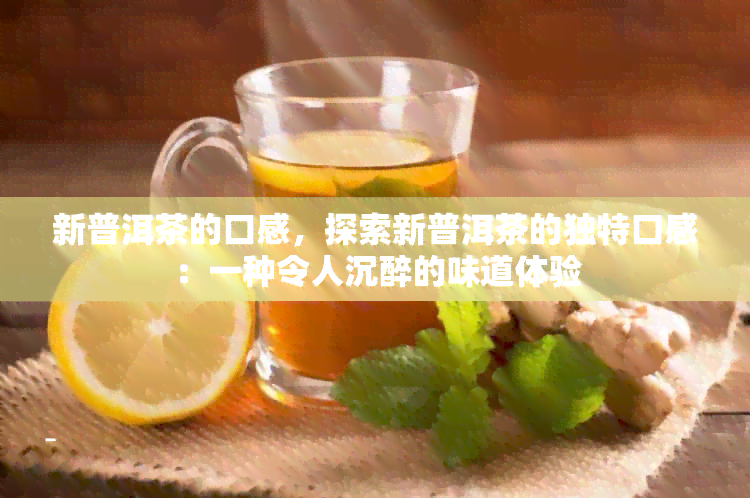 新普洱茶的口感，探索新普洱茶的独特口感：一种令人沉醉的味道体验