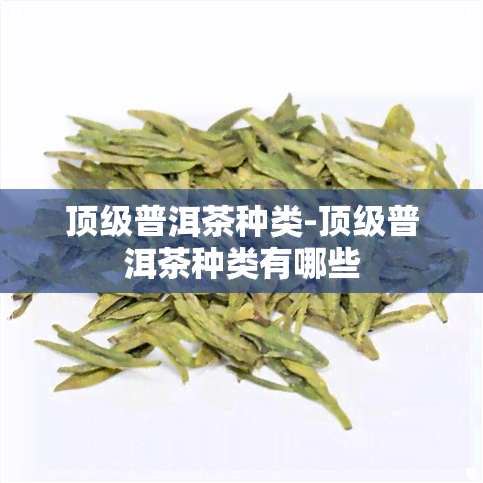 顶级普洱茶种类-顶级普洱茶种类有哪些