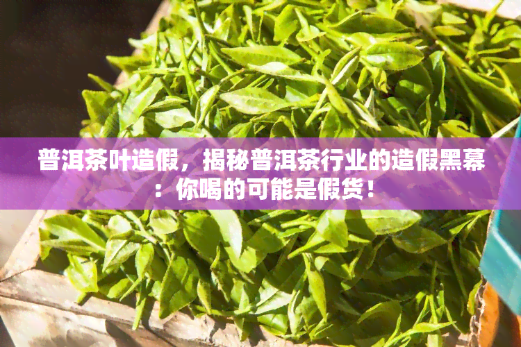 普洱茶叶造假，揭秘普洱茶行业的造假黑幕：你喝的可能是假货！