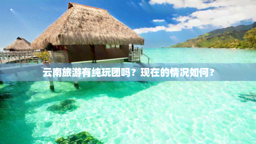 云南旅游有纯玩团吗？现在的情况如何？