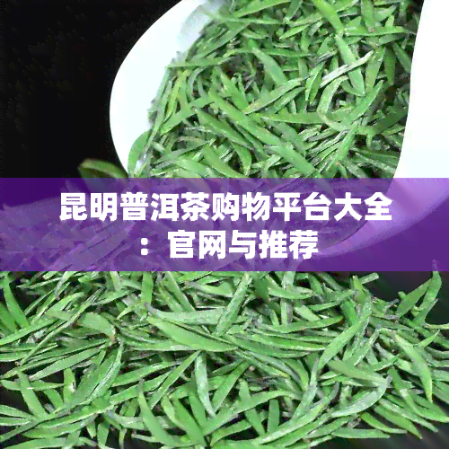 昆明普洱茶购物平台大全：官网与推荐