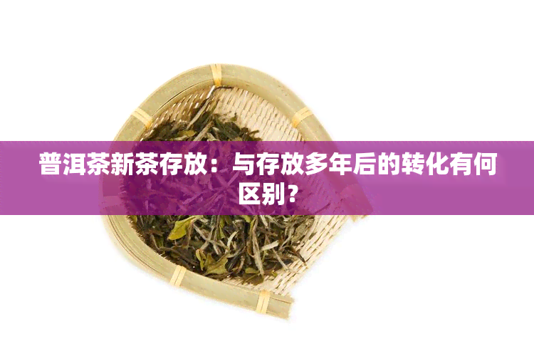 普洱茶新茶存放：与存放多年后的转化有何区别？