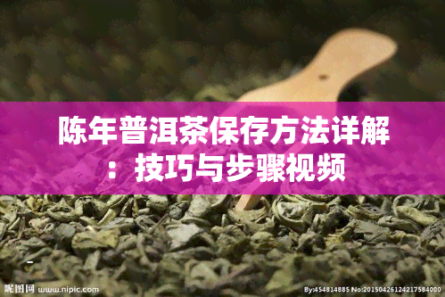 陈年普洱茶保存方法详解：技巧与步骤视频