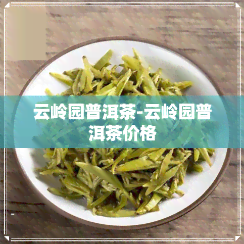 云岭园普洱茶-云岭园普洱茶价格