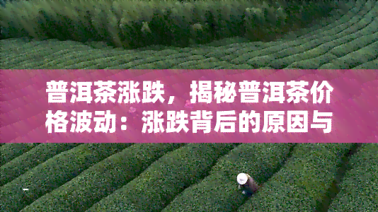 普洱茶涨跌，揭秘普洱茶价格波动：涨跌背后的原因与影响