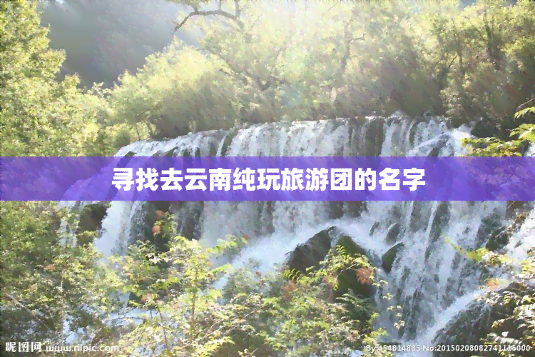 寻找去云南纯玩旅游团的名字