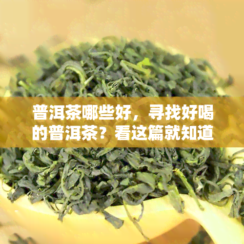 普洱茶哪些好，寻找好喝的普洱茶？看这篇就知道哪些值得尝试！