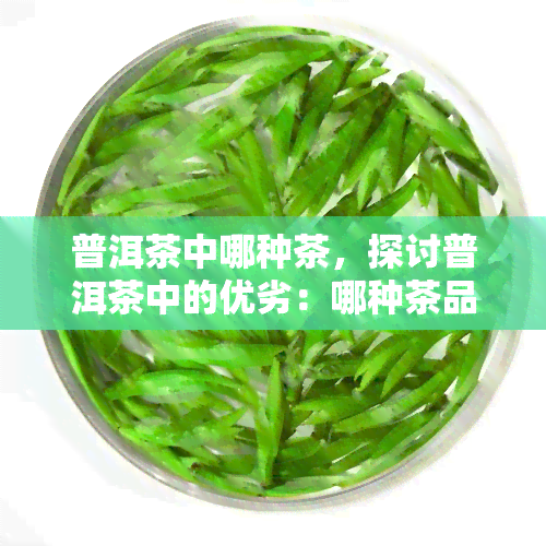 普洱茶中哪种茶，探讨普洱茶中的优劣：哪种茶品质？