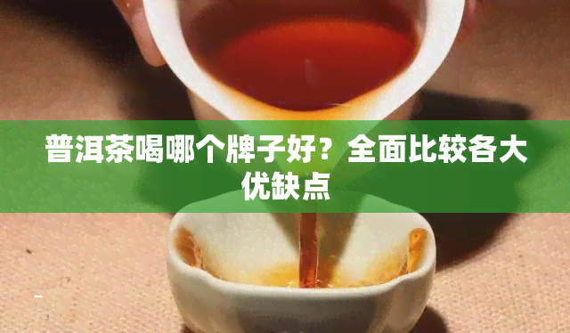 普洱茶喝哪个牌子好？全面比较各大优缺点