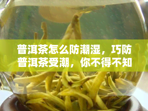 普洱茶怎么防潮湿，巧防普洱茶受潮，你不得不知的技巧与方法