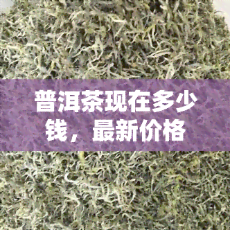 普洱茶现在多少钱，最新价格更新：普洱茶现在的市场价格是多少？