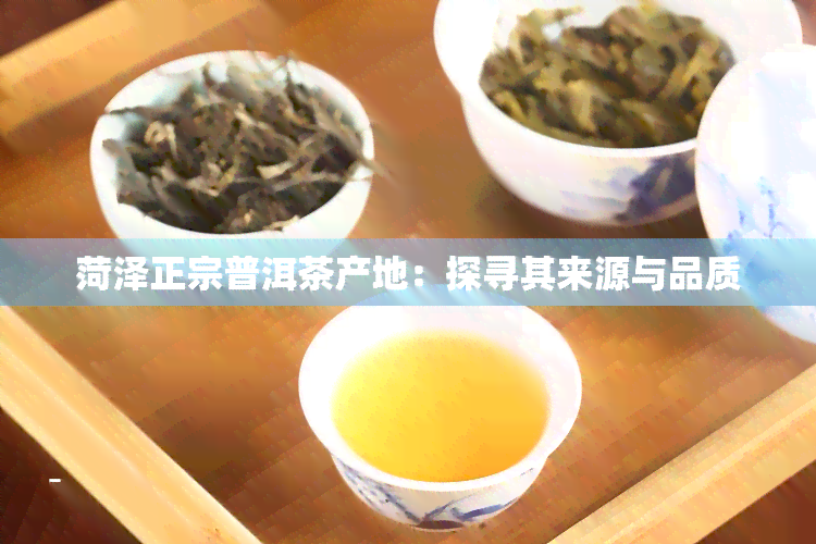 菏泽正宗普洱茶产地：探寻其来源与品质