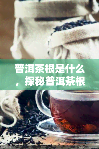 普洱茶根是什么，探秘普洱茶根：它的身份和作用是什么？