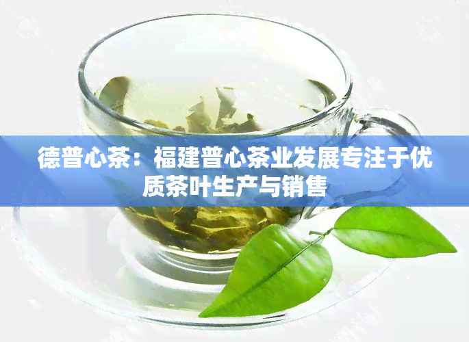 德普心茶：福建普心茶业发展专注于优质茶叶生产与销售