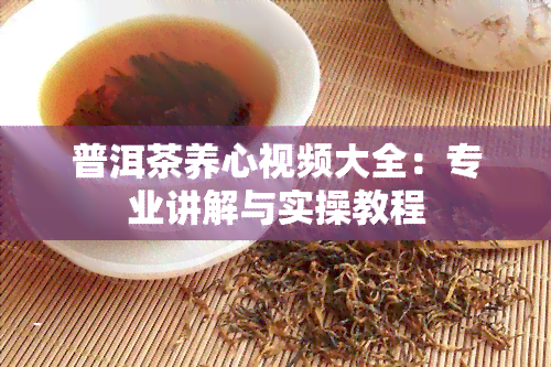 普洱茶养心视频大全：专业讲解与实操教程