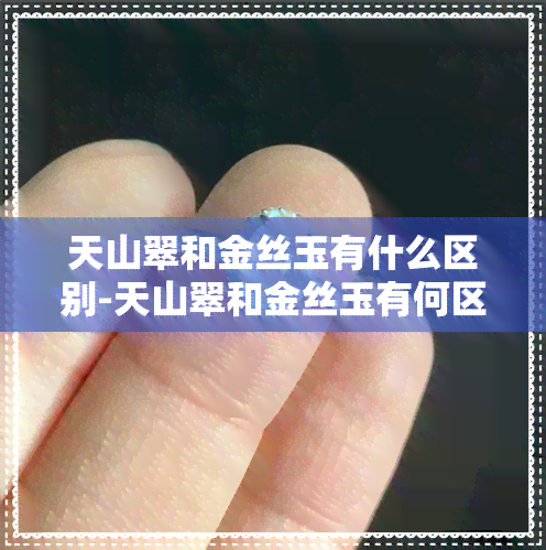 天山翠和金丝玉有什么区别-天山翠和金丝玉有何区别