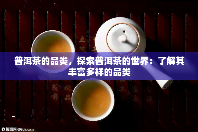 普洱茶的品类，探索普洱茶的世界：了解其丰富多样的品类