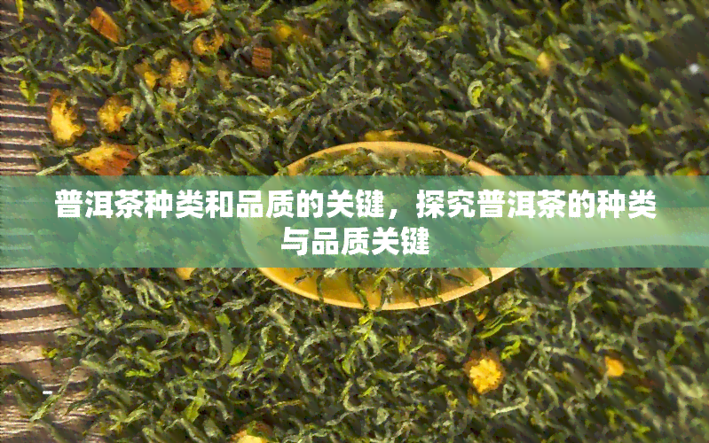 普洱茶种类和品质的关键，探究普洱茶的种类与品质关键