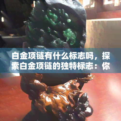 白金项链有什么标志吗，探索白金项链的独特标志：你必须知道的细节