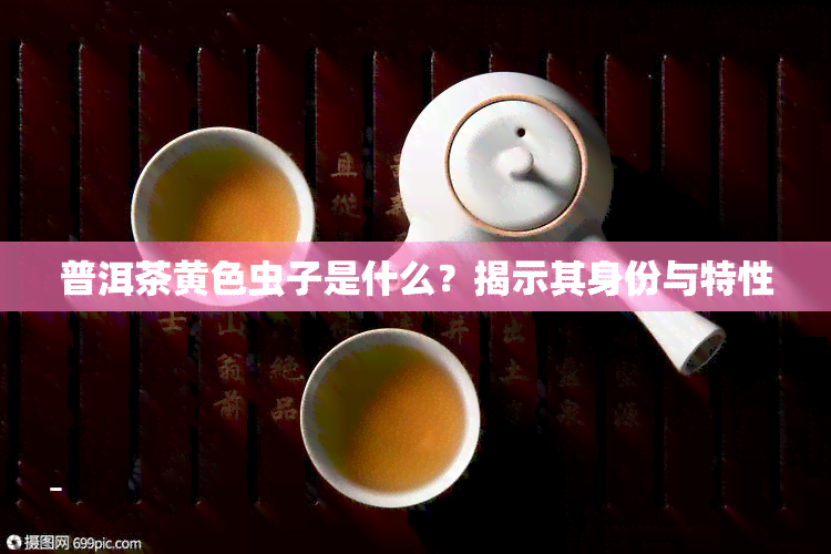 普洱茶黄色虫子是什么？揭示其身份与特性