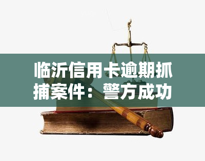 临沂信用卡逾期抓捕案件：警方成功抓获多名嫌疑人