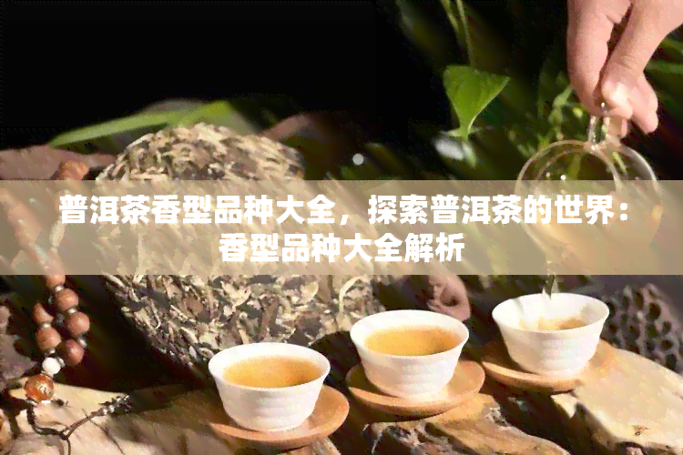 普洱茶香型品种大全，探索普洱茶的世界：香型品种大全解析