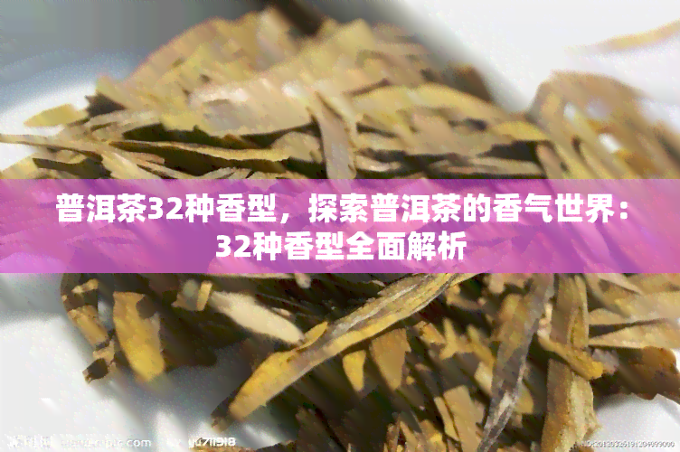 普洱茶32种香型，探索普洱茶的香气世界：32种香型全面解析