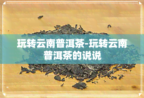 玩转云南普洱茶-玩转云南普洱茶的说说