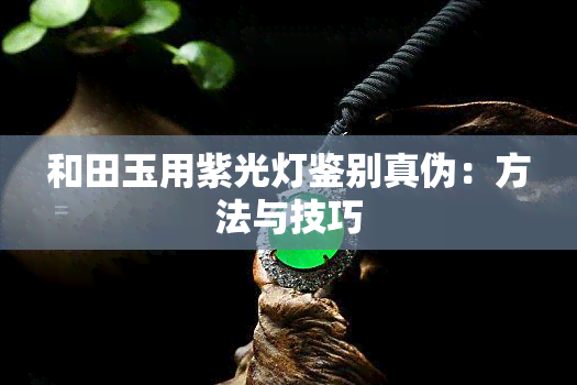 和田玉用紫光灯鉴别真伪：方法与技巧