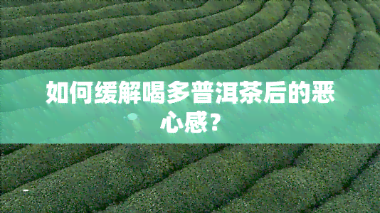 如何缓解喝多普洱茶后的恶心感？