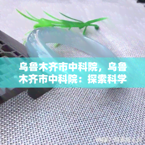 乌鲁木齐市中科院，乌鲁木齐市中科院：探索科学与技术的未来