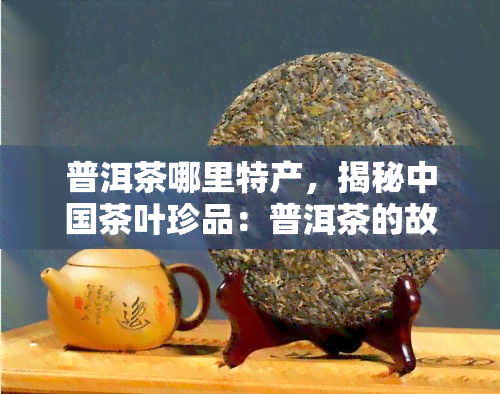 普洱茶哪里特产，揭秘中国茶叶珍品：普洱茶的故乡在哪里？