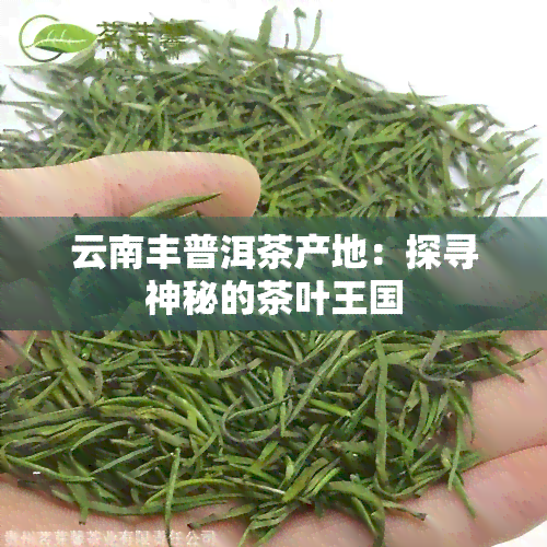 云南丰普洱茶产地：探寻神秘的茶叶王国