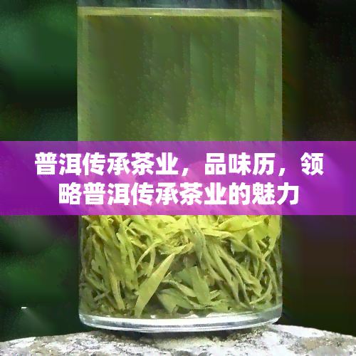 普洱传承茶业，品味历，领略普洱传承茶业的魅力