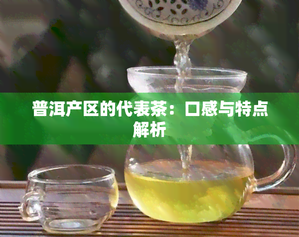 普洱产区的代表茶：口感与特点解析