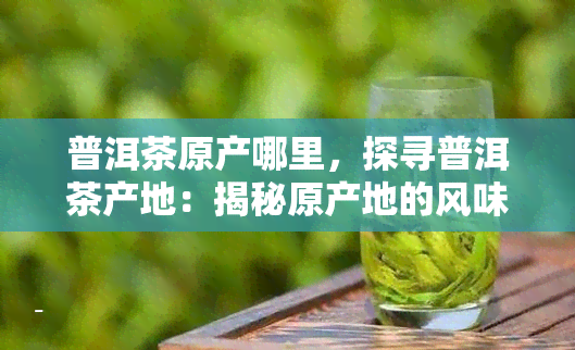 普洱茶原产哪里，探寻普洱茶产地：揭秘原产地的风味与品质