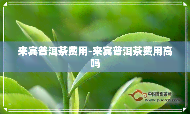 来宾普洱茶费用-来宾普洱茶费用高吗